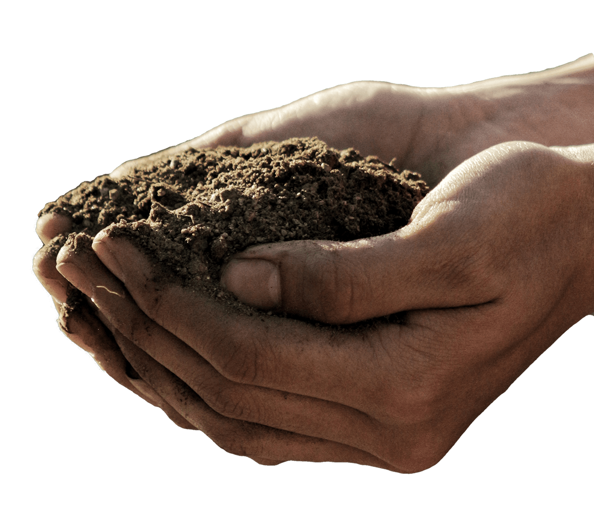 Silas Rossow — California Ag Solutions Testimonial