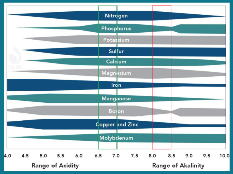 Nutrient uptake for different pH levels