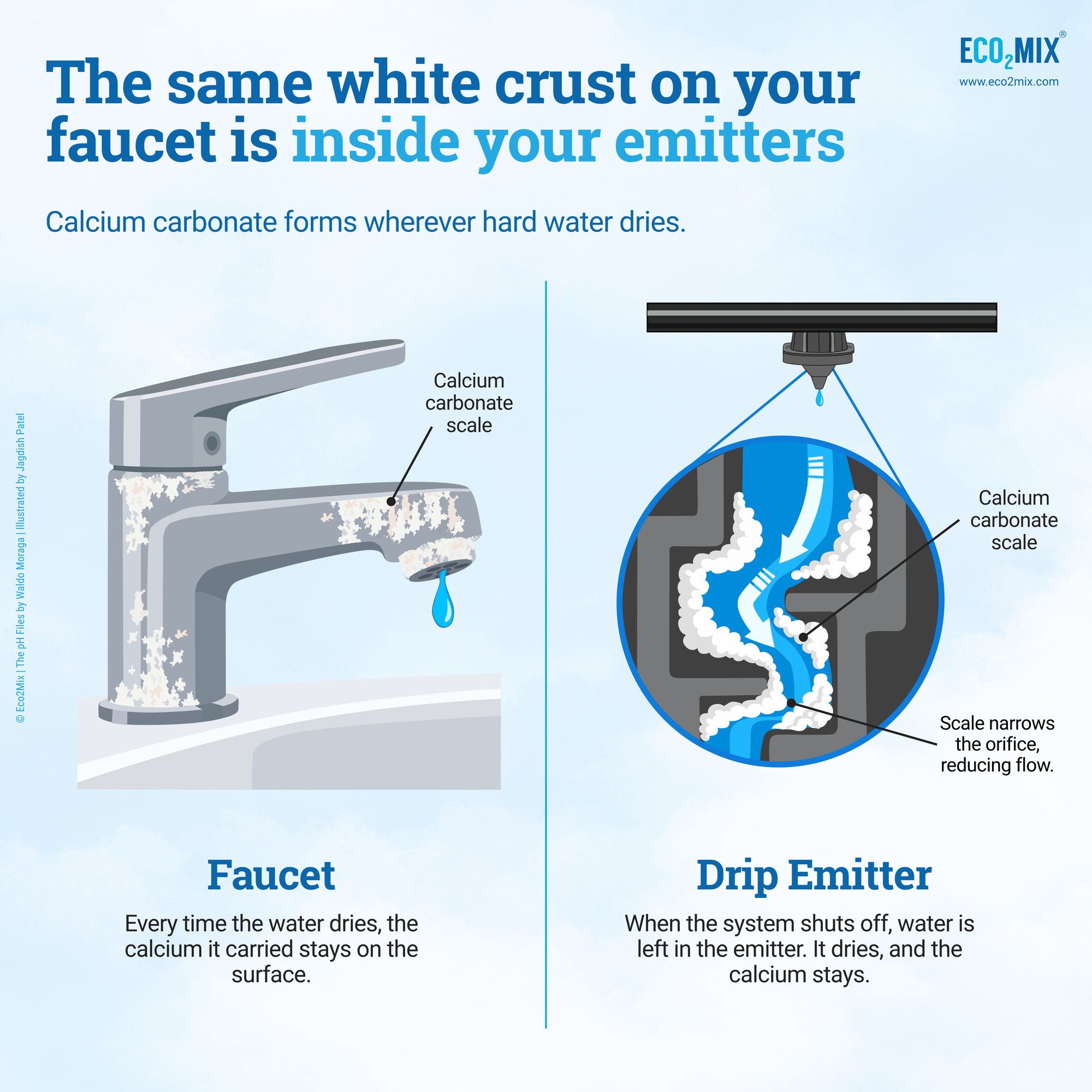 share Calcium carbonate scale on a faucet and inside a drip emitter, where it narrows the orifice and reduces flow