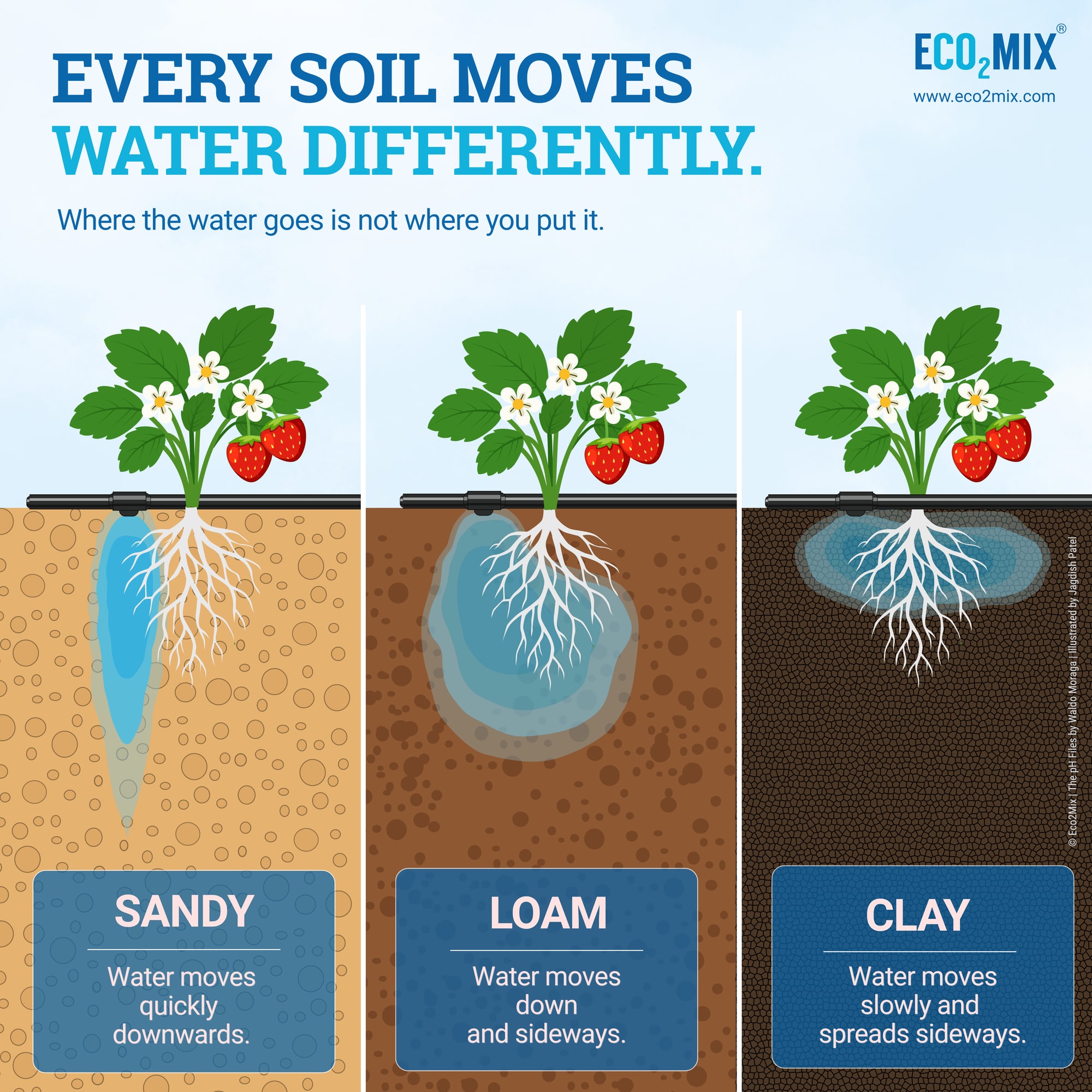 share Drip irrigation wetting pattern compared in sandy soil, loam and clay under one emitter