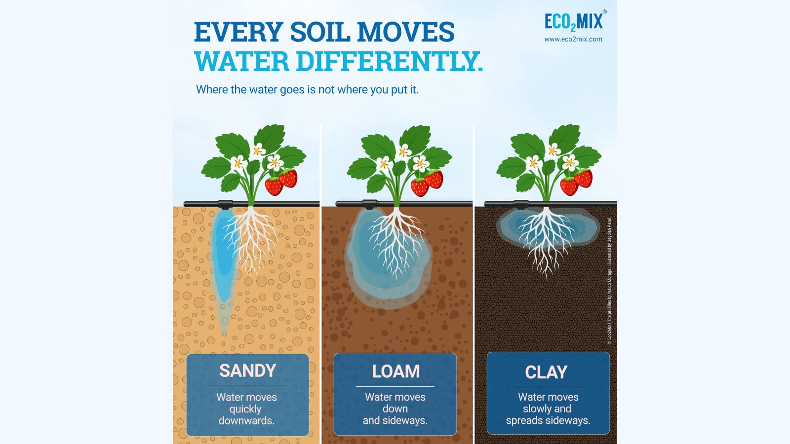 How Soil Texture Shapes the Drip Irrigation Wetting Pattern