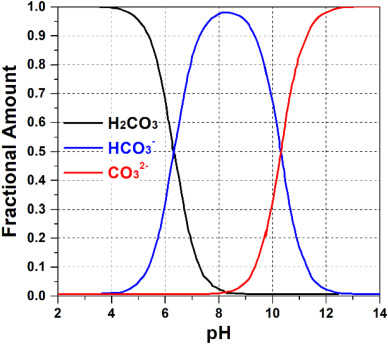 Carbonated Irrigation in a Tempranillo Vineyard: What the Research Shows