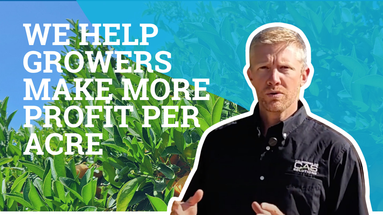 Silas Rossow — California Ag Solutions Testimonial