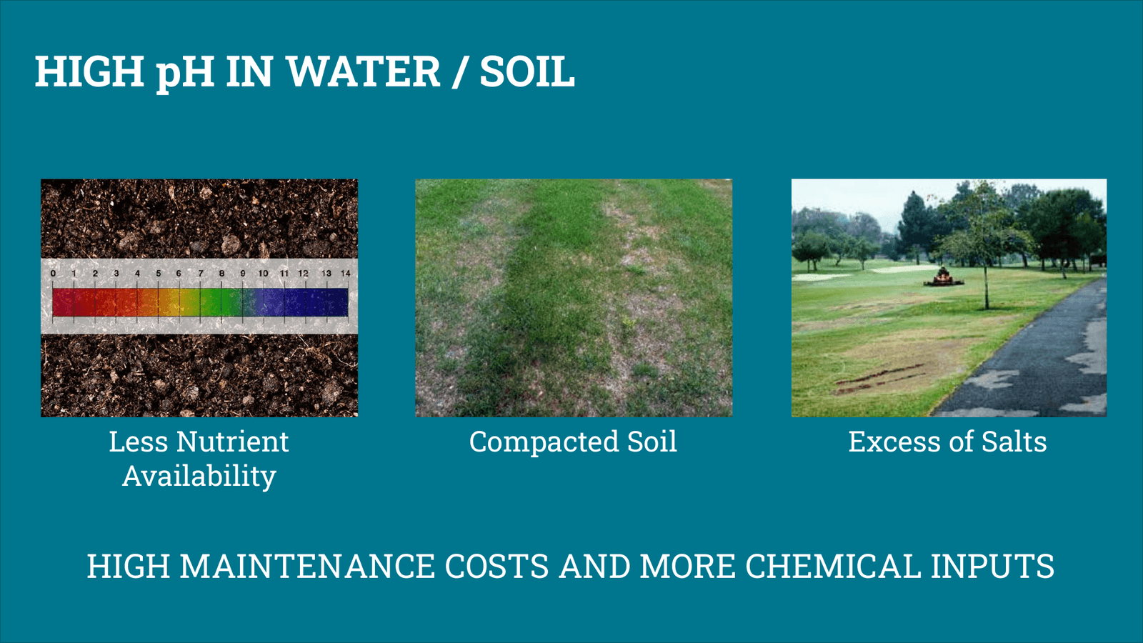 TurfNet Webinar Slide 4