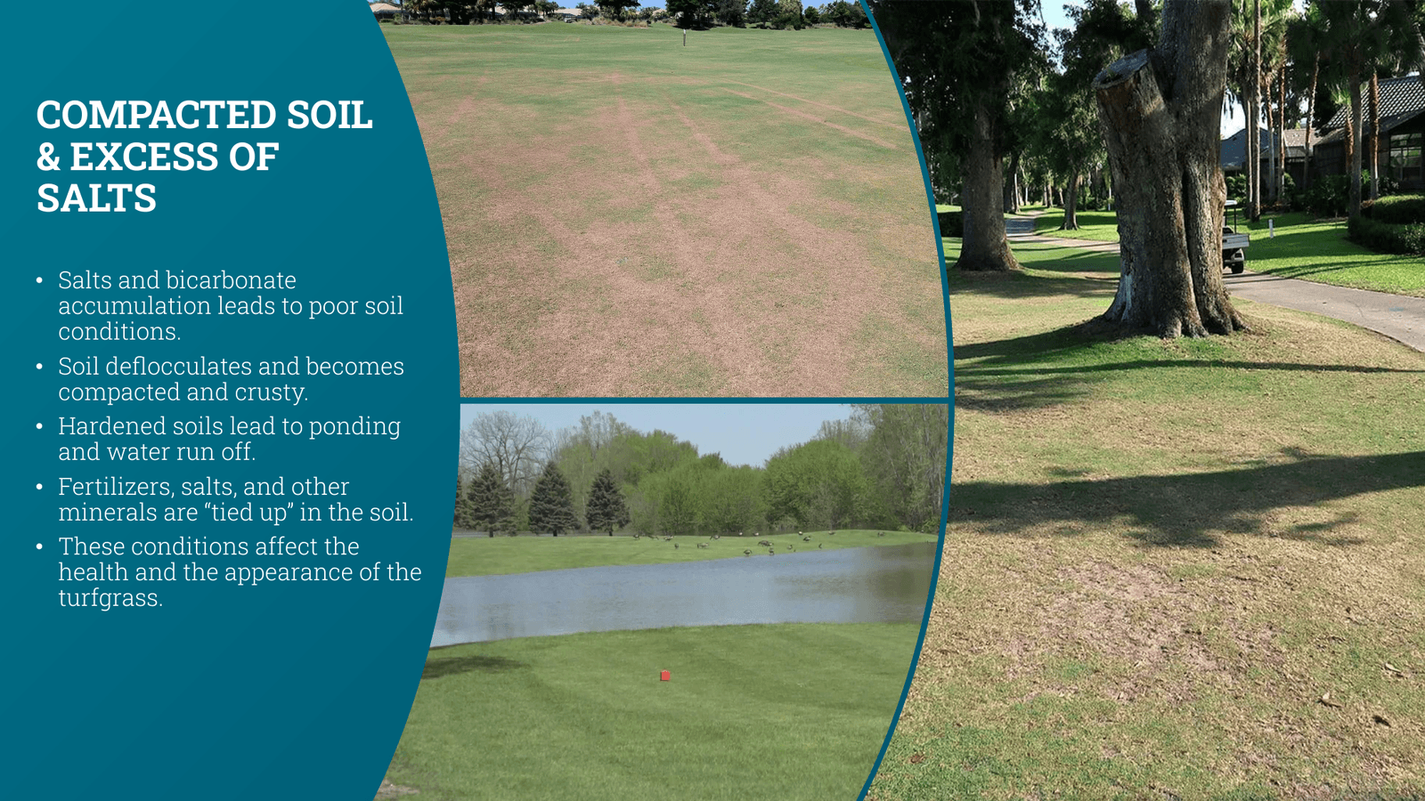 TurfNet Webinar Slide 6